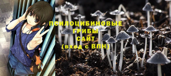 амф Майский