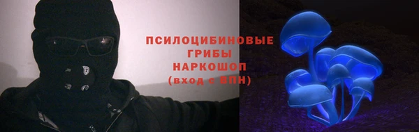 амф Майский