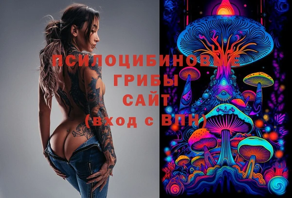 амф Майский