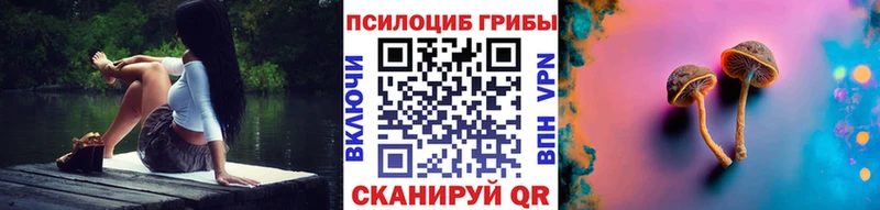 Псилоцибиновые грибы мицелий цены наркотик Нерчинск